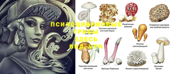 ECSTASY Володарск