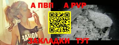 a pvp Новозыбков