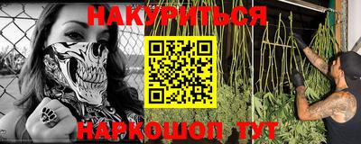 a pvp Новозыбков
