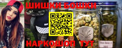 a pvp Новозыбков
