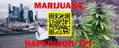 a pvp Новозыбков