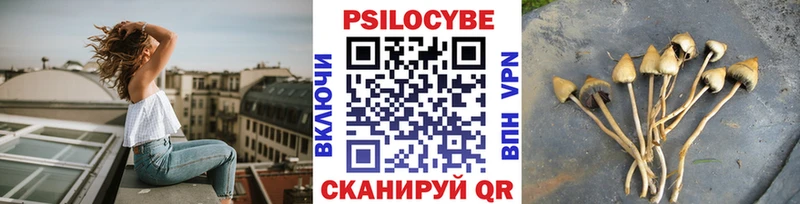 Псилоцибиновые грибы мухоморы Старый Оскол
